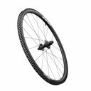 202 NSW Carbon TL 700c Rear 20Spoke XDR 12x142 DarkGrey A1