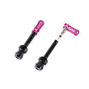 GRANITE JUICY - Valve stem with Juicy valve cap 44mm - 2PC - Pink