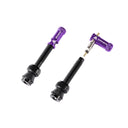 GRANITE JUICY - Valve stem with Juicy valve cap 44mm - 2PC - Purple